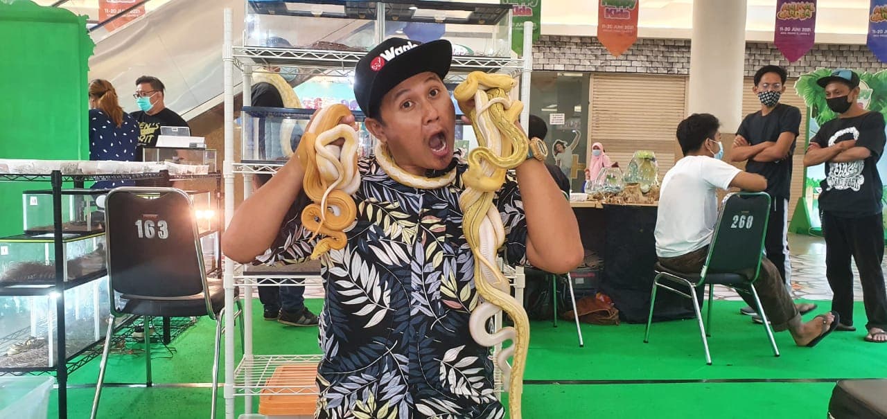 PAHAM SIFAT ALAMI: Diki dengan ular koleksinya. Dia selalu berinteraksi agar paham karakter reptil peliharaannya.