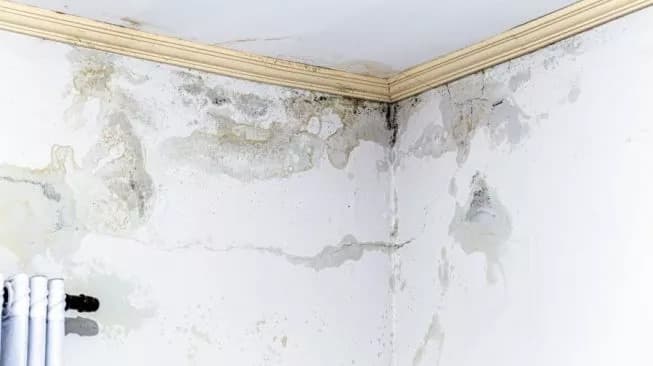 SEGERA DITANGANI: Ada banyak penyebab dinding yang merembes. Bisa karena jalur air yang terbuka karena retakan atau kerusakan pada lapisan pelindung.