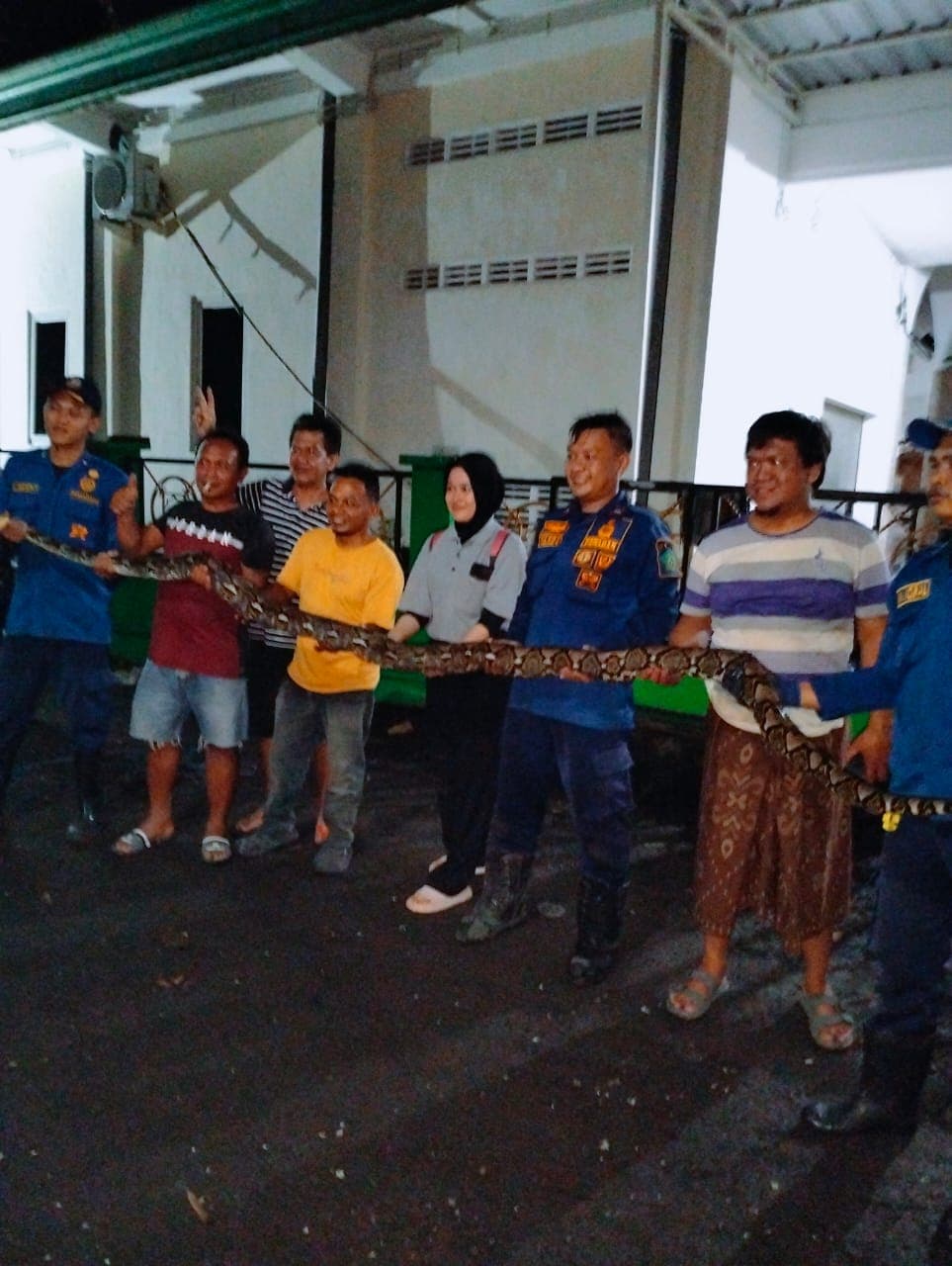 HASIL TANGKAPAN: Petugas Rescue Damkar BPBD Sidoarjo bersama warga memperlihatkan ular piton berukuran lima meter yang sempat mendatangi marbot masjir Al Furqon di Perumahan Taman Pinang Indah