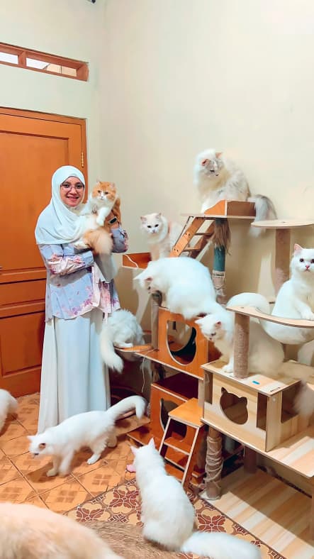 Punya 12 Kucing Putih, Risma Kamilah Bisa Bedakan Berdasarkan Wajah dan Sifat