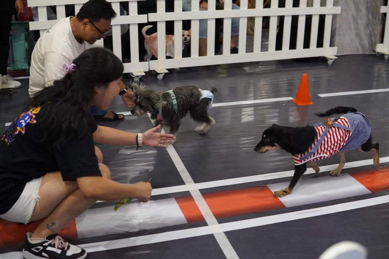 Perayaan Growls 10th Anni-Fursary Racer dihelat di Atrium Ground PTC pada 14-16 November.