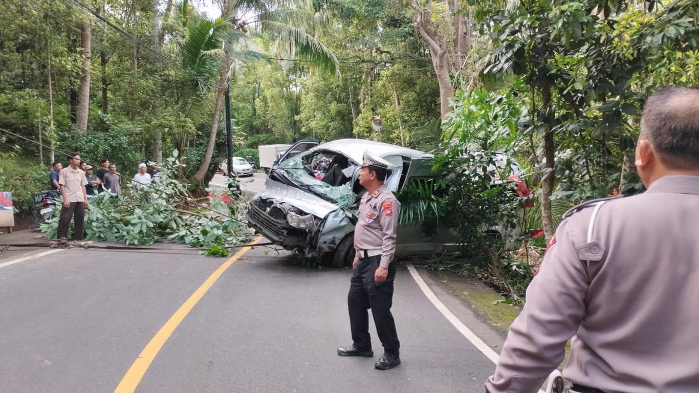 Minibus Pariwisata Terperosok, Lima Warga Tiongkok Meninggal