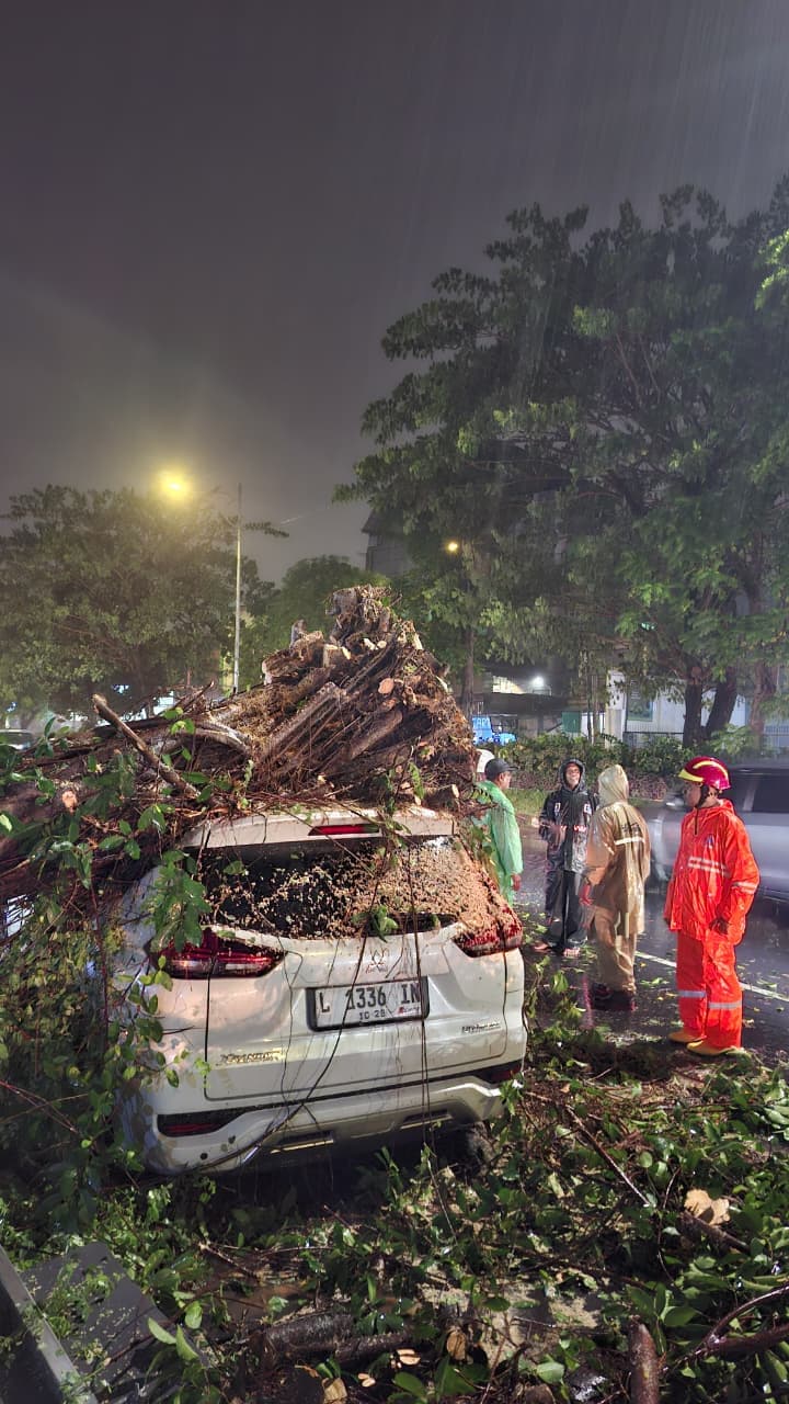 RUGI MATERI: Pohon beringin roboh menimpa mobil yang terparkir di Jalan Simo Kalangan, Senin (10/11) malam. Petugas BPBD Surabaya segera mengevakuasi mobil itu dengan memotong dahan pohon.