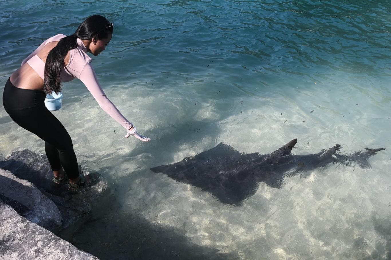 TEMBUS PANDANG: Wisatawan memberi makan hiu pari di Pulau Payung, Kepulauan Seribu.