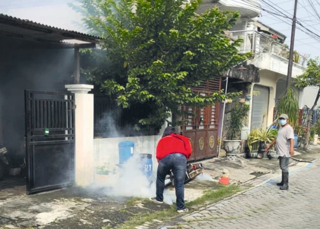 Dua Pekan, 17 Kasus DBD Ditemukan di Gresik