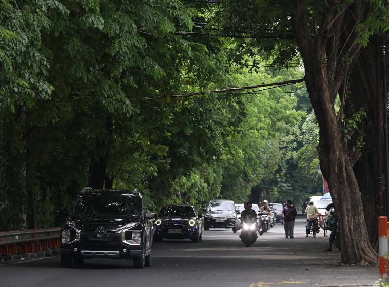 PERLU PERANTINGAN: Pohon rindang di kanan dan kiri jalan di Semolowaru, Surabaya, Minggu (16/11).